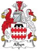 Allyn-Coat-of-Arms-Ireland